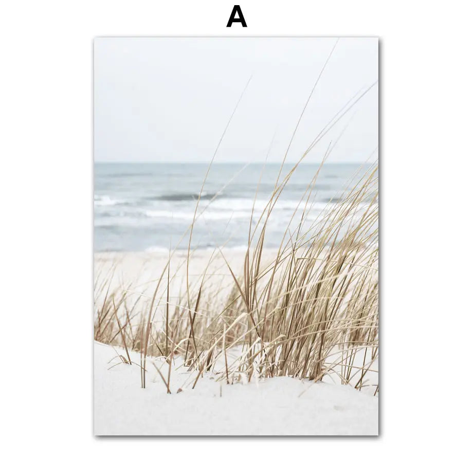 Dandelion Dolphin Beach Flower Canvas Wall Art