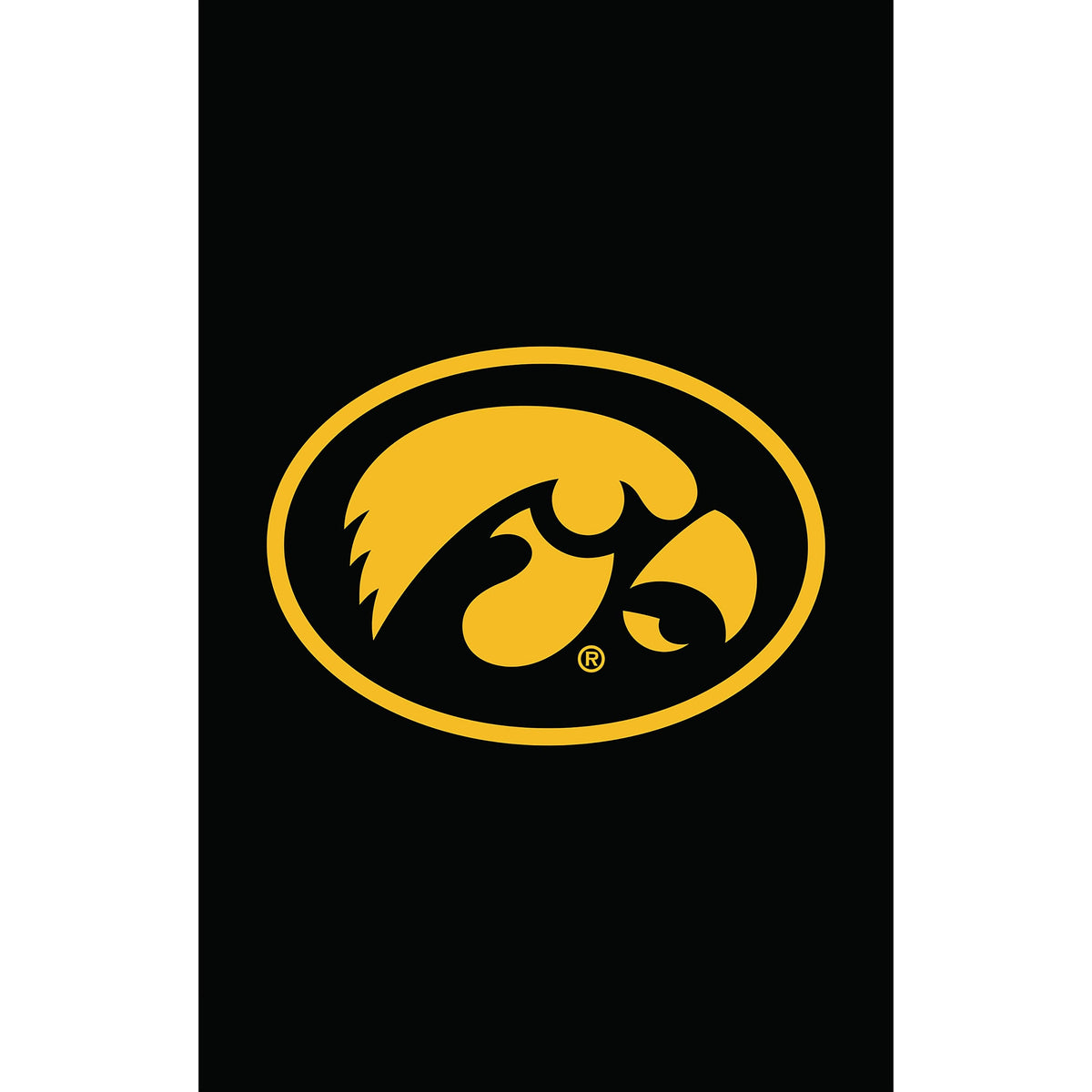 University of Iowa Applique House Flag
