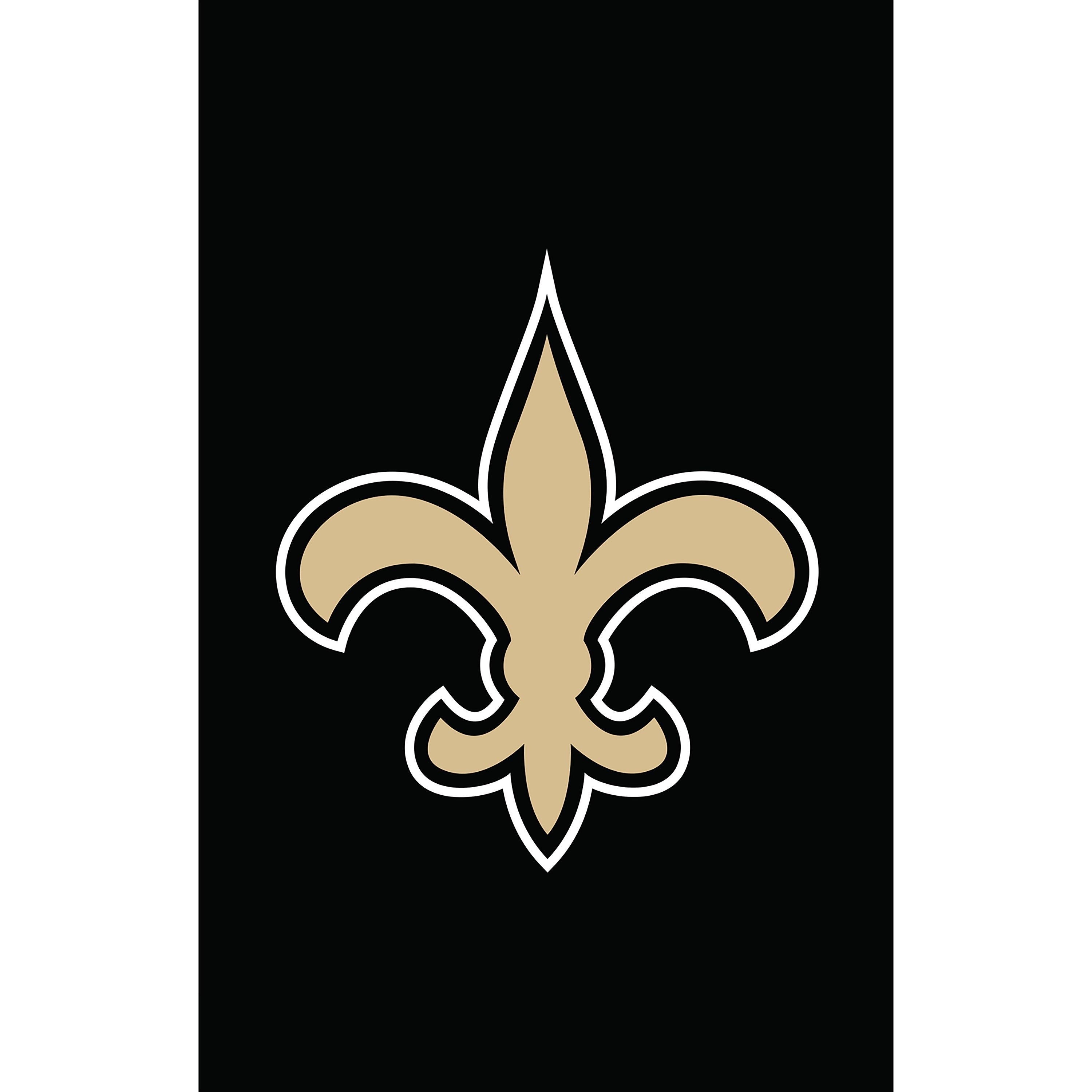 New Orleans Saints Applique House Flag
