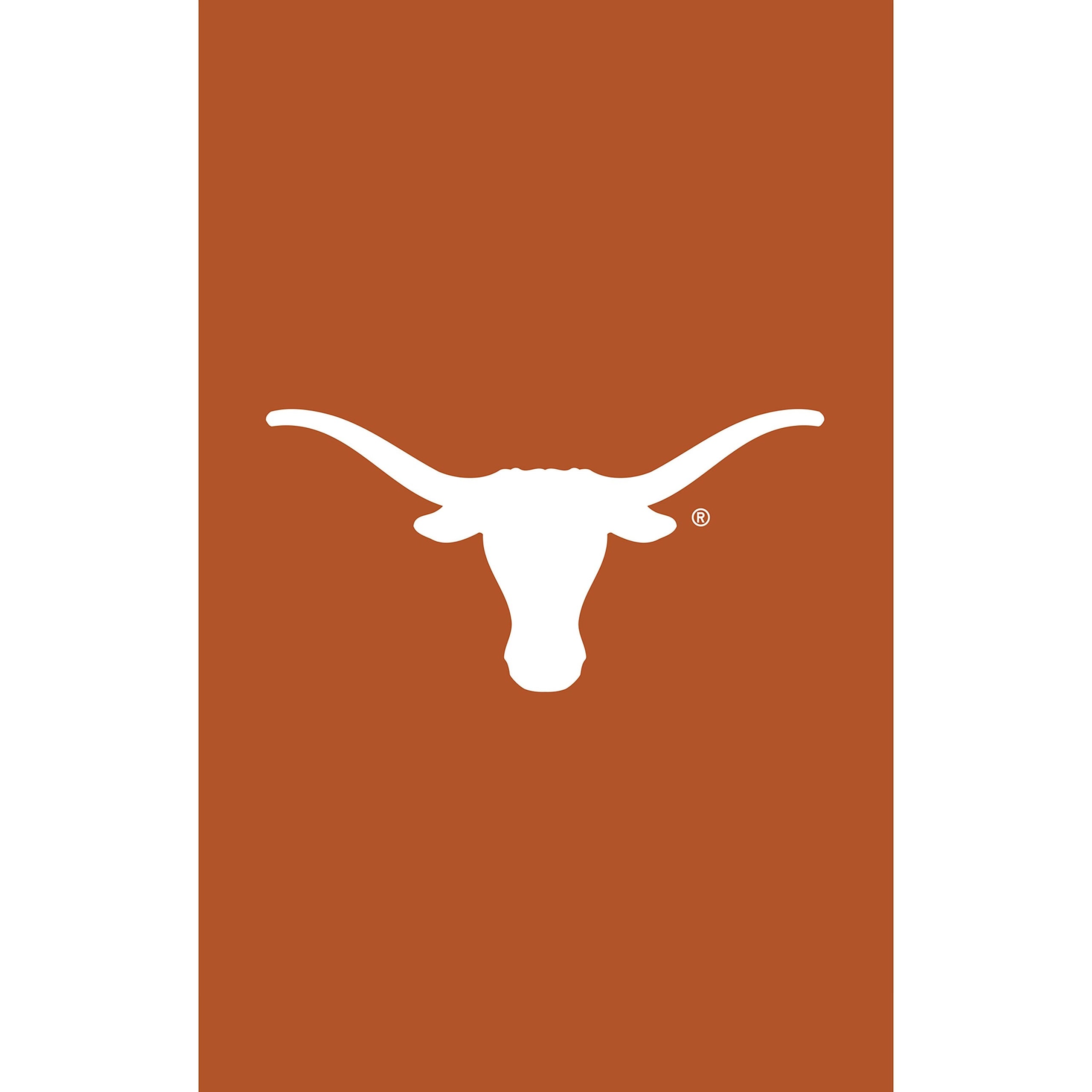 University of Texas Applique House Flag