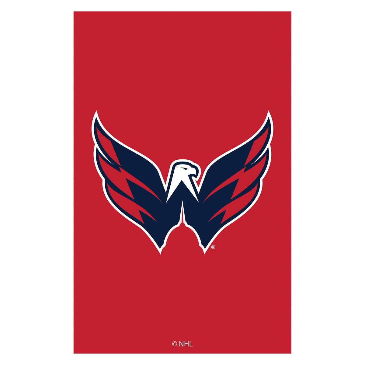 Applique Flag, Gar., Washington Capitals