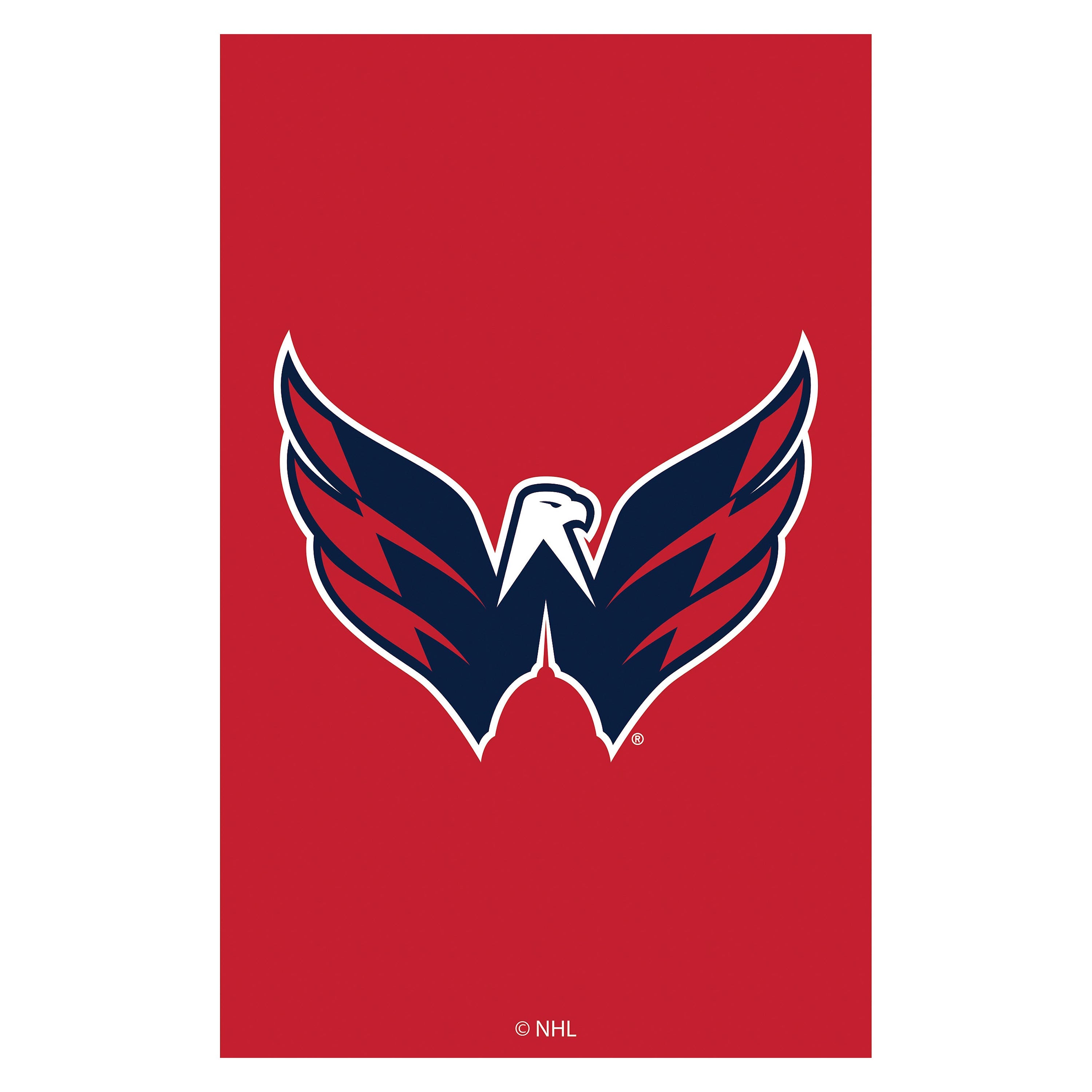Applique Flag, Gar., Washington Capitals
