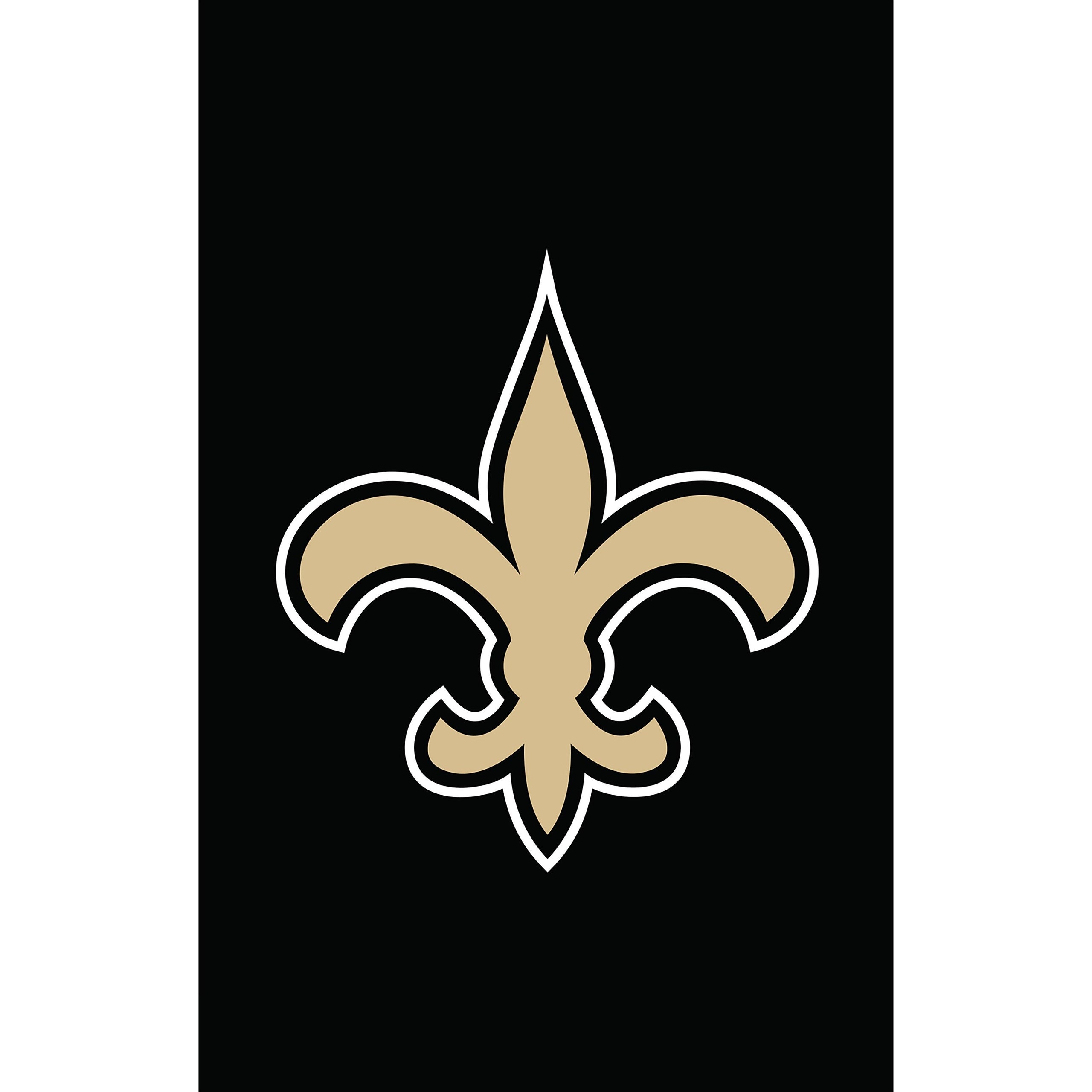 New Orleans Saints Applique House Flag