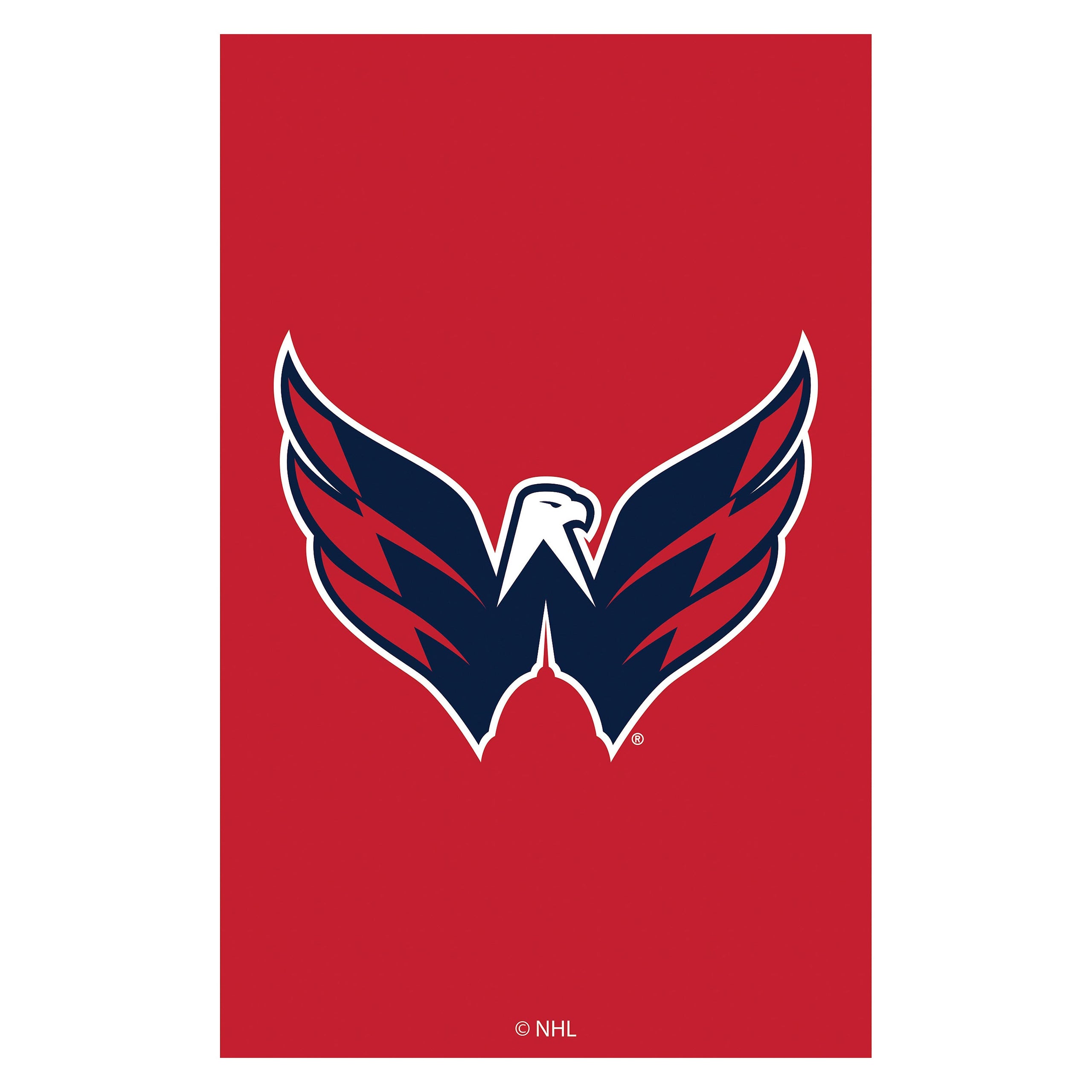 Applique Flag, Gar., Washington Capitals