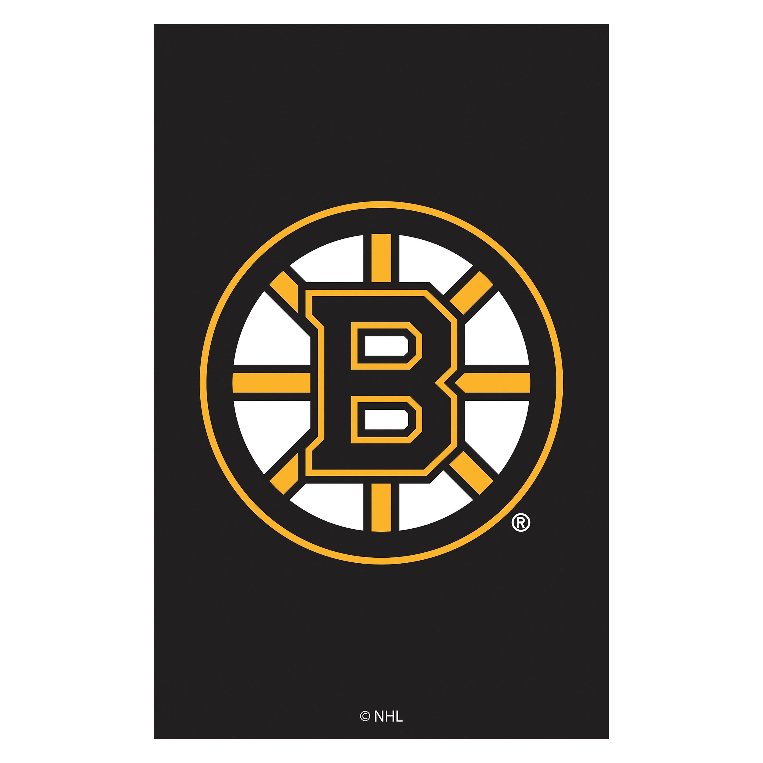 Applique Flag, Reg, Boston Bruins