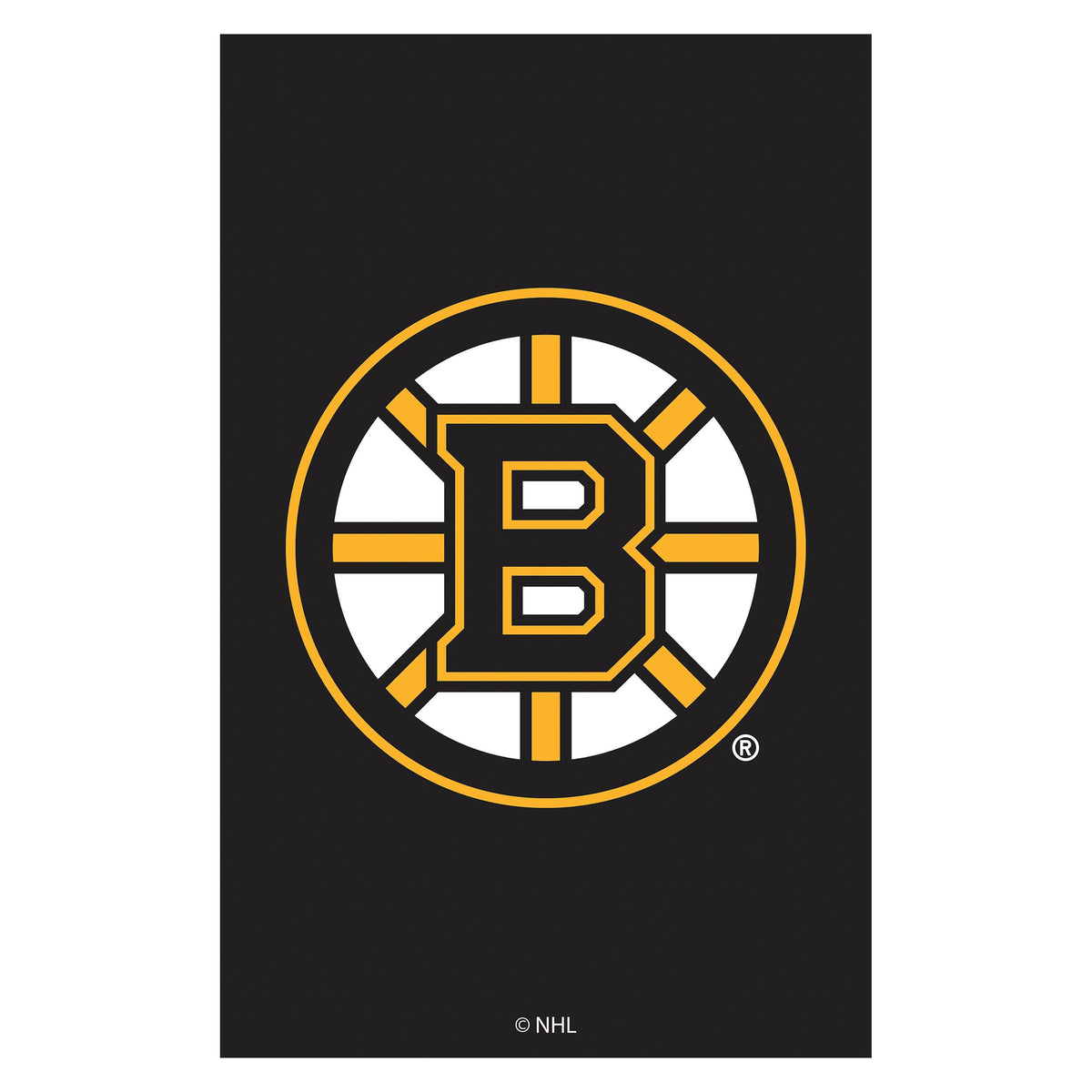 Applique Flag, Reg, Boston Bruins