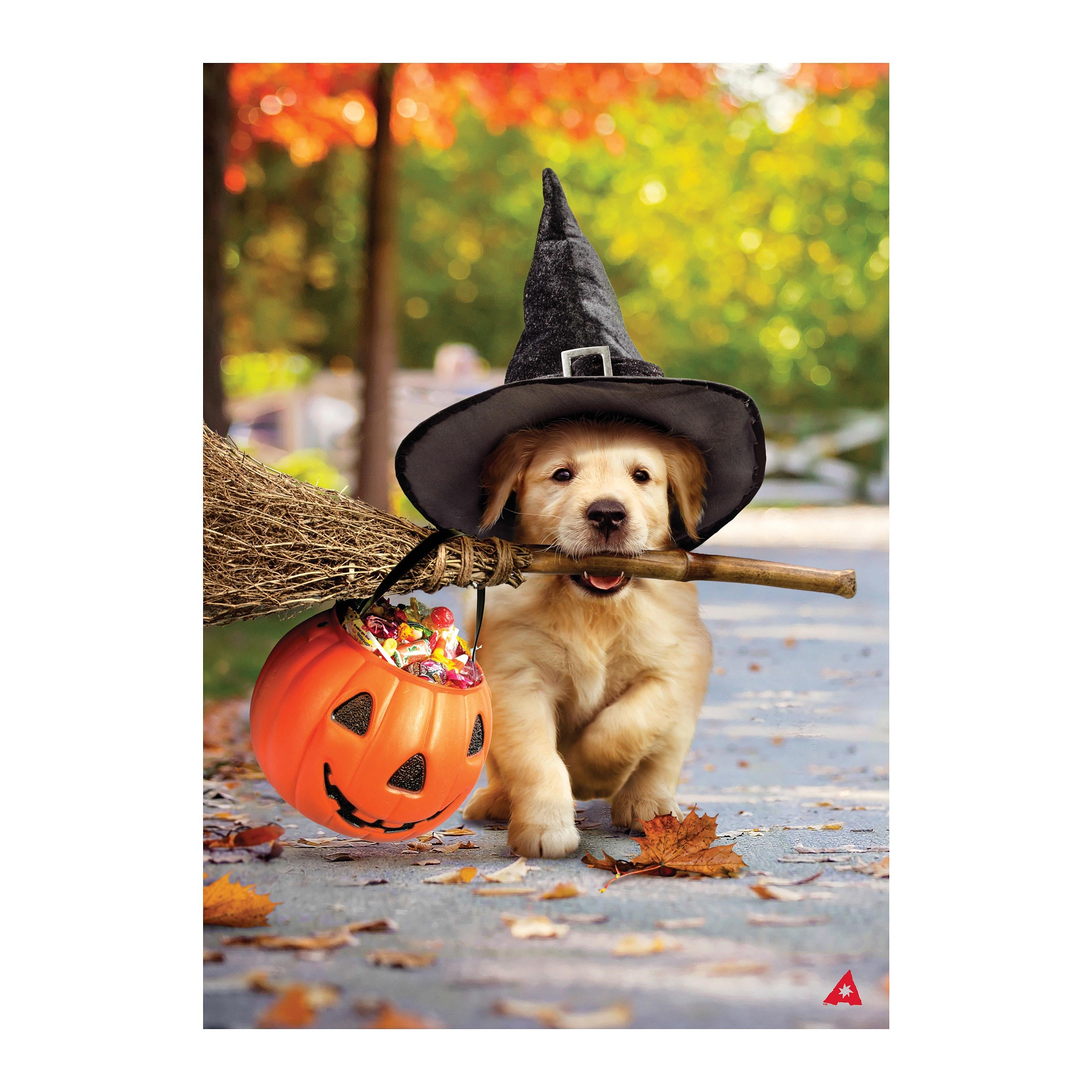 Goldens With Broom Suede House Flag