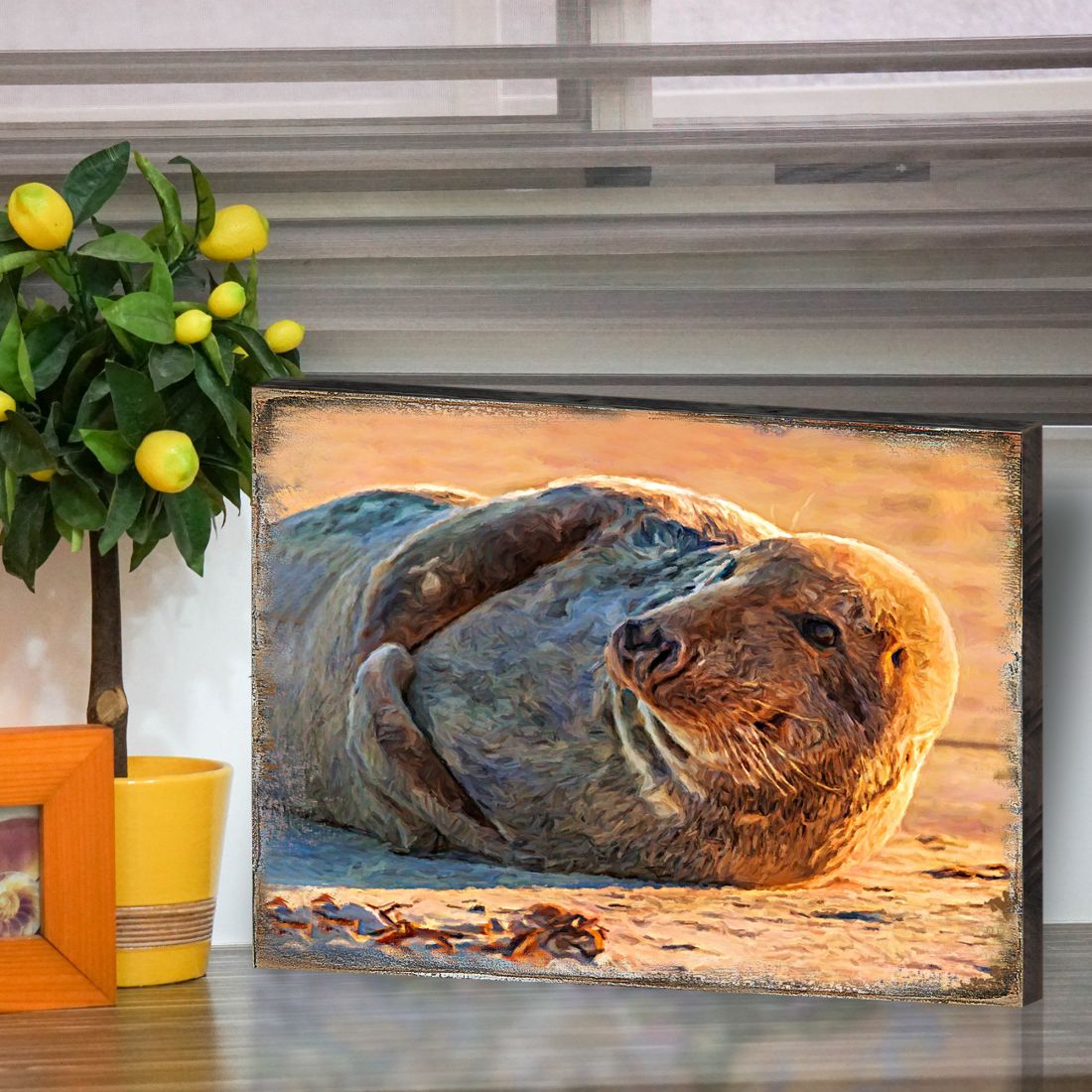 Speier Seal Wood Wooden Coastal Wall Art by Nature Wonders - Coastal Sea-Life Decor - 95260B