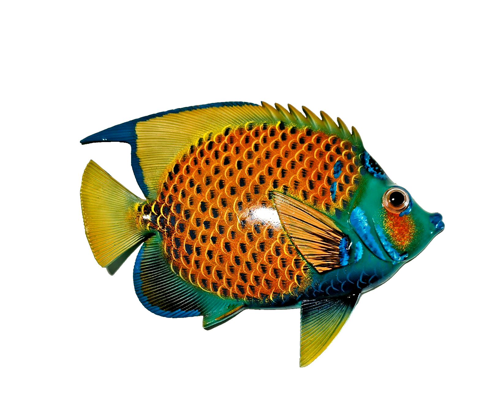 12 inch Resin Multiple Colors Tropical Fish. Visit Our Store ufmllc.online