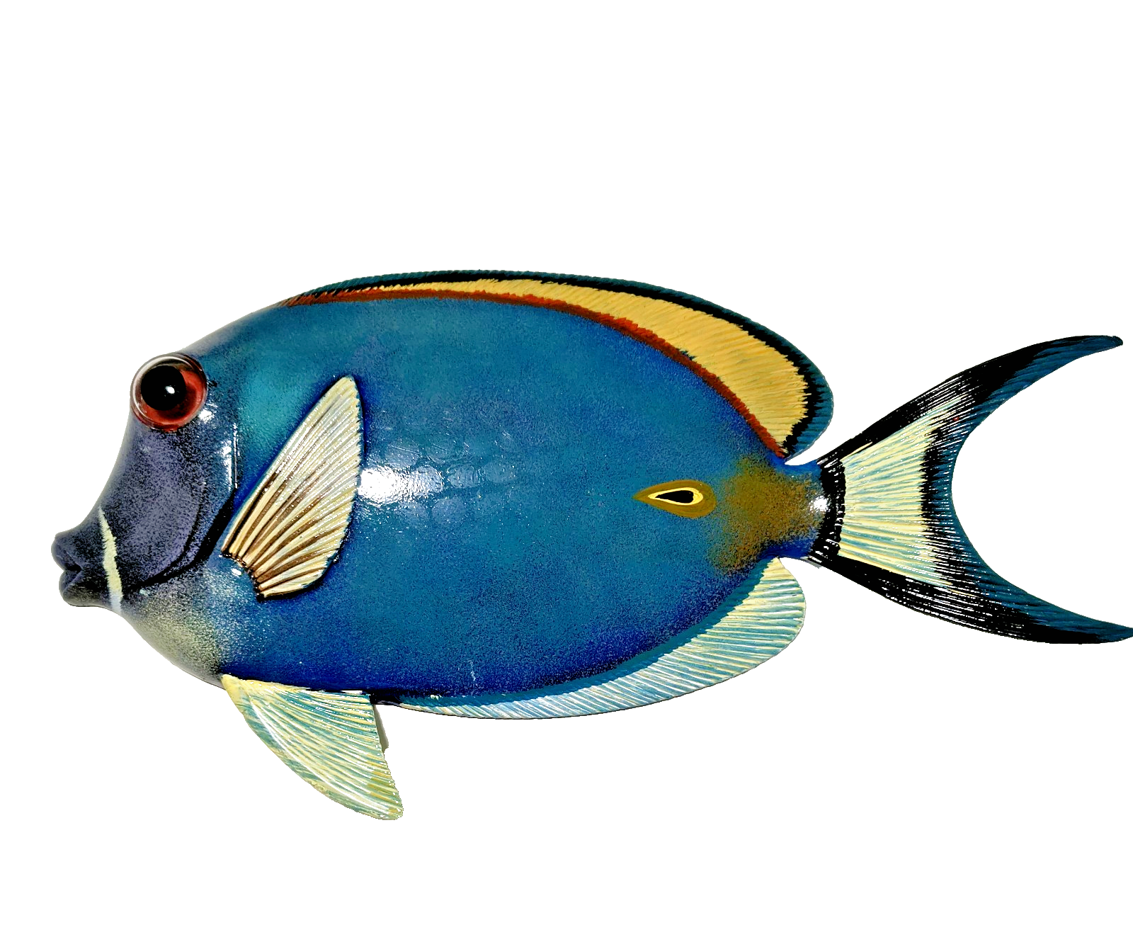 12 Inch PolyResin Tropical Colors Realistic Hand Painted Fishes Wall Mount 
