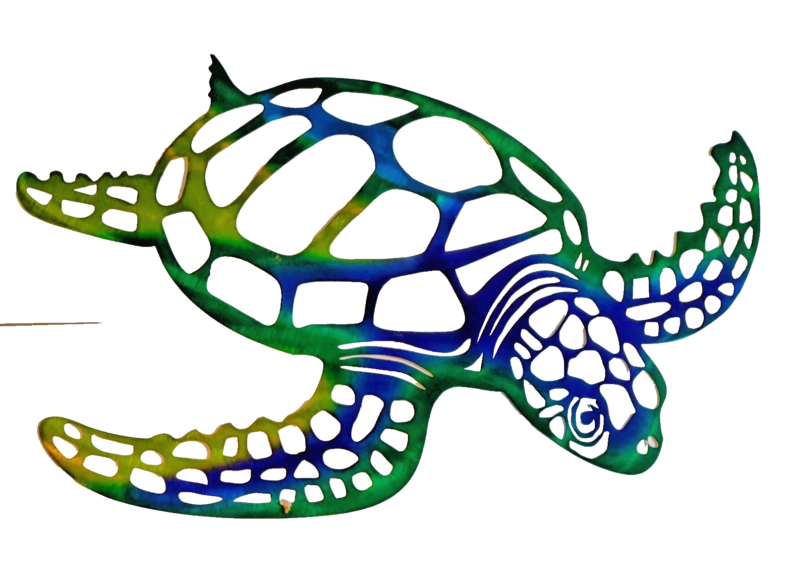  Metal Multiple Colors Sea Turtle Visit Our Store ufmllc.online