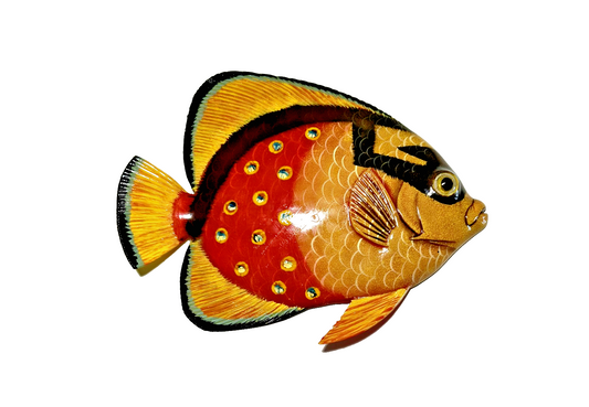 12 inch Resin Multiple Colors Tropical Fish. Visit Our Store ufmllc.online