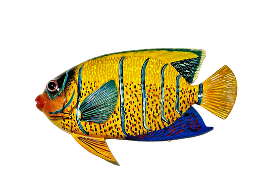12 inch Resin Multiple Colors Tropical Fish. Visit Our Store ufmllc.online