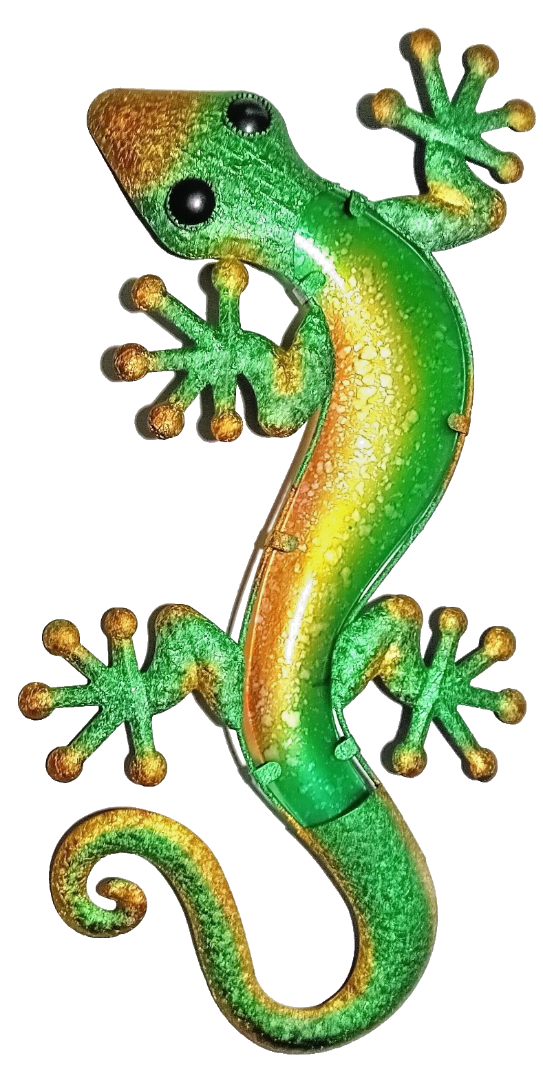23 inch Multiple Colors Gecko. Visit Our Store ufmllc.online