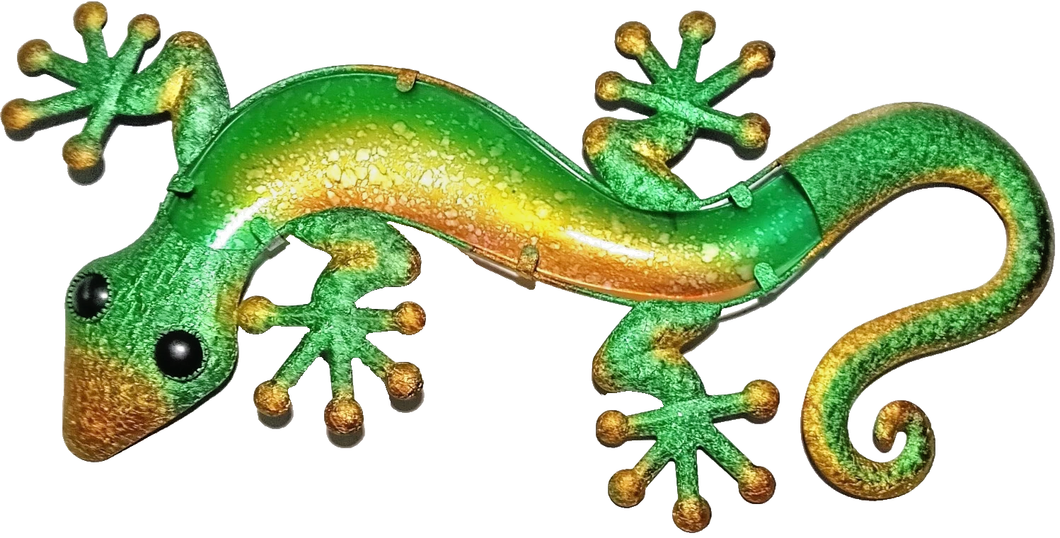 23 inch Multiple Colors Gecko. Visit Our Store ufmllc.online