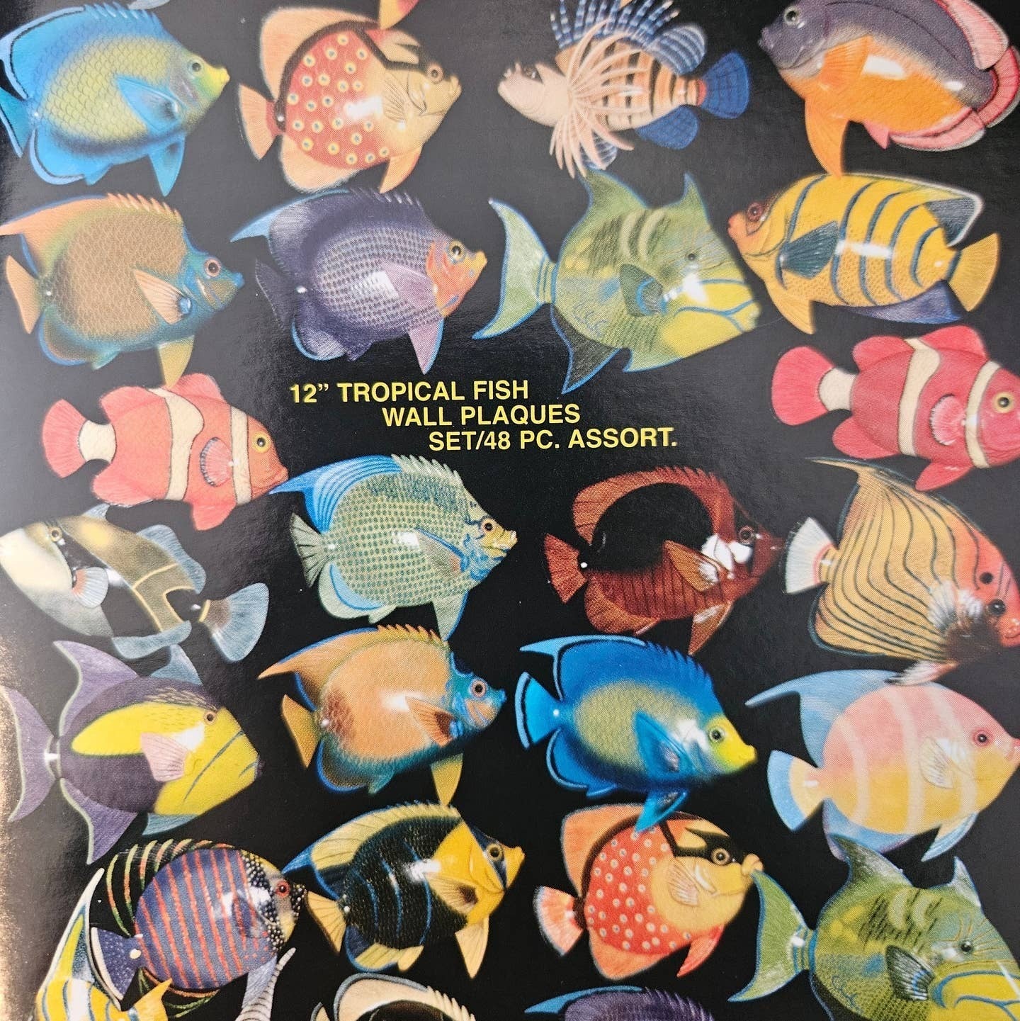 12 Inch PolyResin Tropical Colors Realistic Hand Painted Fishes Wall Mount 