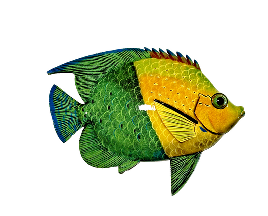 12 inch Resin Multiple Colors Tropical Fish. Visit Our Store ufmllc.online