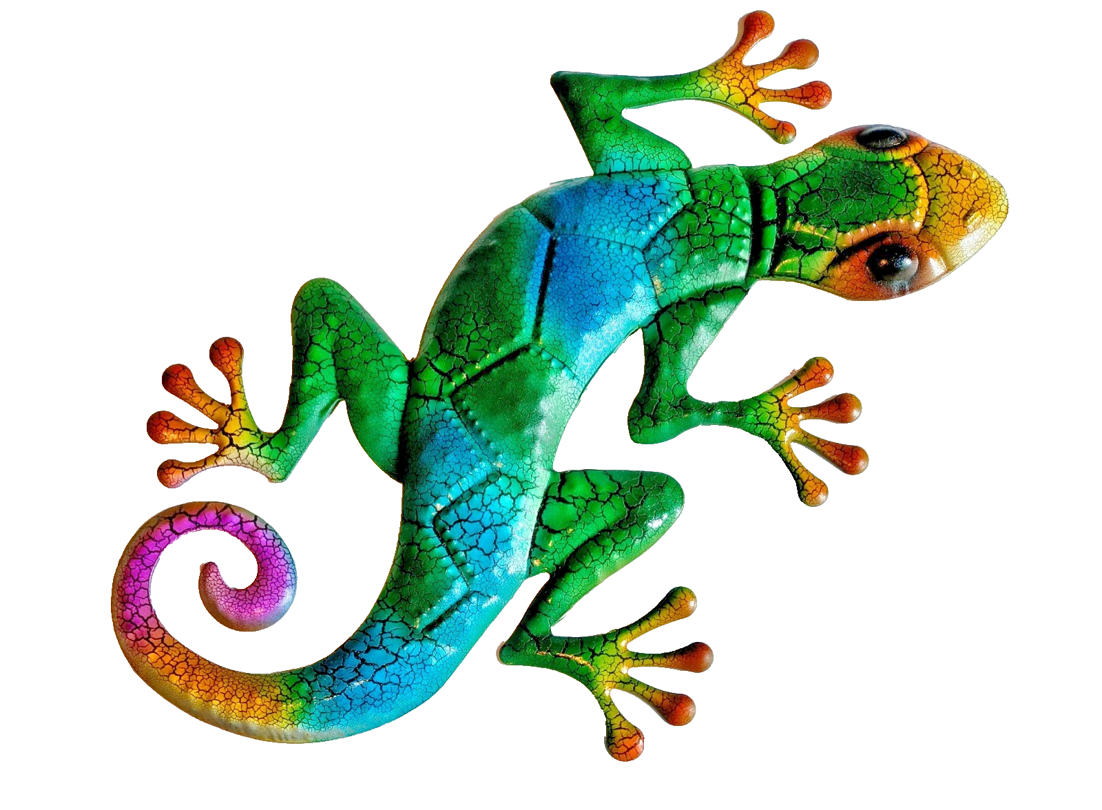 17 inch Multiple Colors Gecko.VisitOur Store ufmllc.online