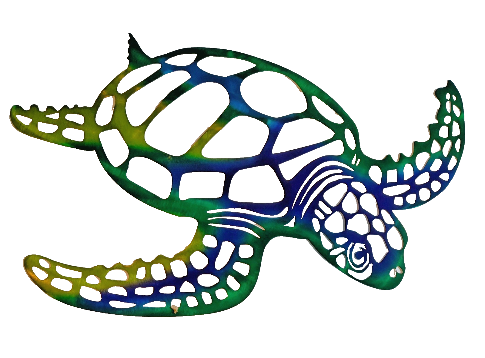  Metal Multiple Colors Sea Turtle Visit Our Store ufmllc.online