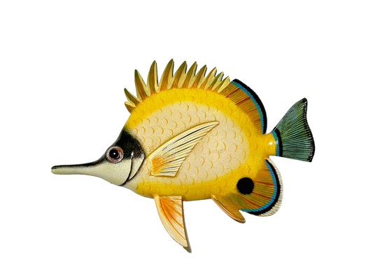12 inch Resin Multiple Colors Tropical Fish. Visit Our Store ufmllc.online