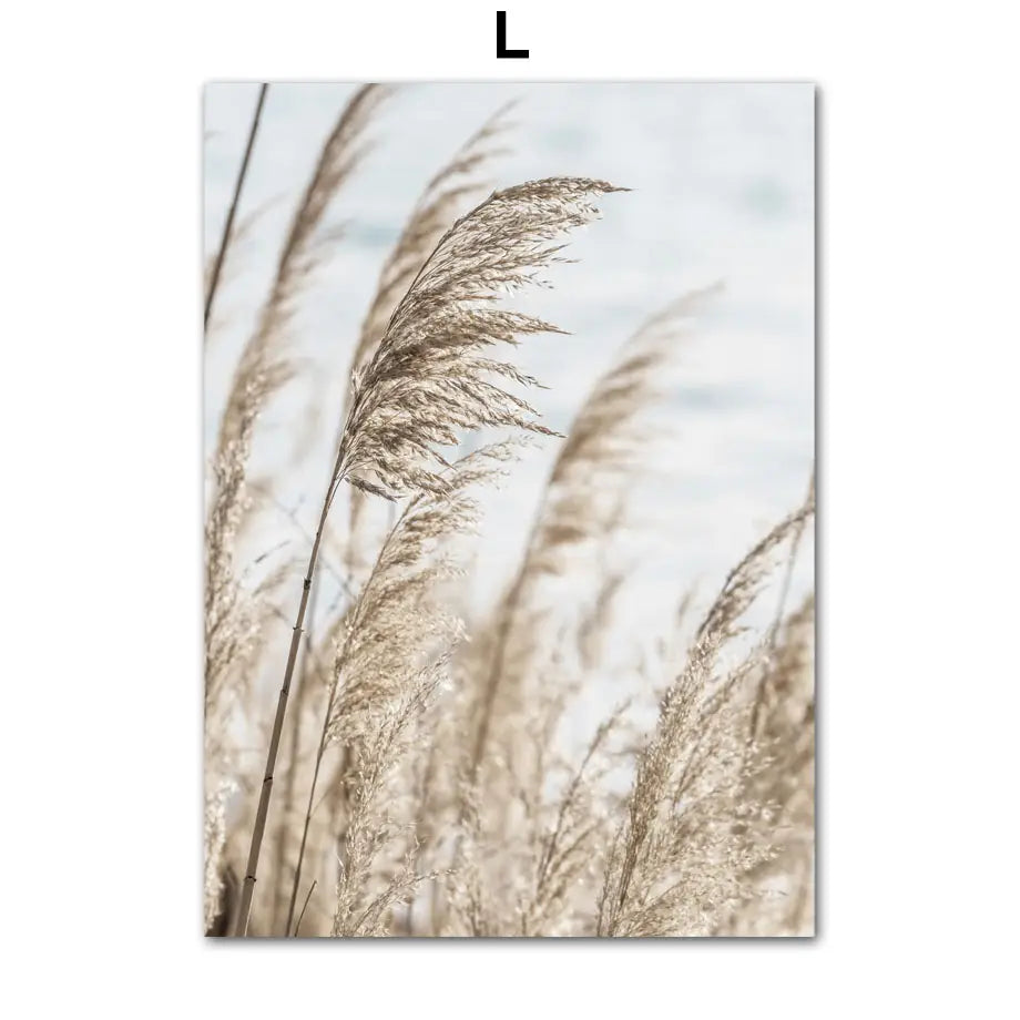 Dandelion Dolphin Beach Flower Canvas Wall Art
