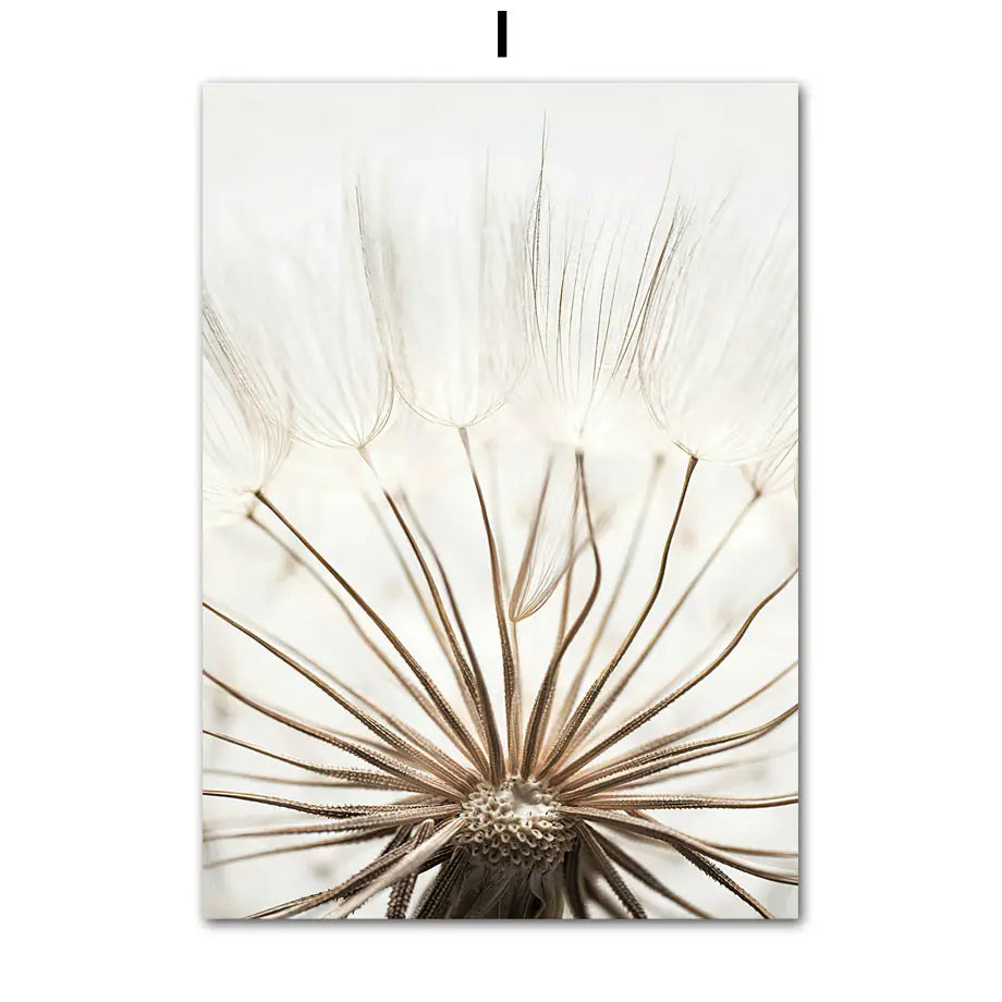 Dandelion Dolphin Beach Flower Canvas Wall Art
