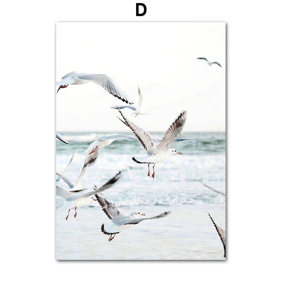 Dandelion Dolphin Beach Flower Canvas Wall Art