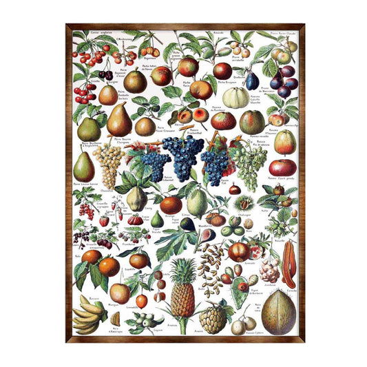 Fruit Montessori Wooden Poster - Homeschool I Educational Poster - Classroom Decor - Aesthetic - 310223