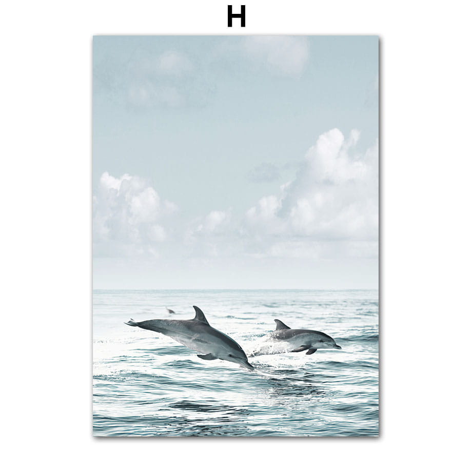 Dandelion Dolphin Beach Flower Canvas Wall Art