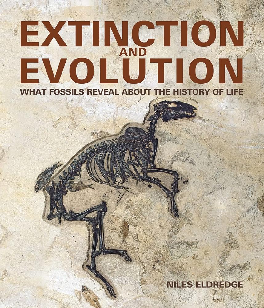 Extinction and Evolution: What Fossils Reveal About the History of Life