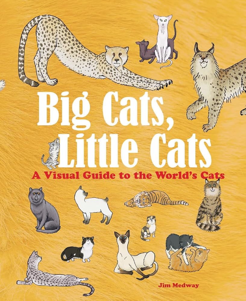 Big Cats, Little Cats: A Visual Guide to the World's Cats (Big and Little)