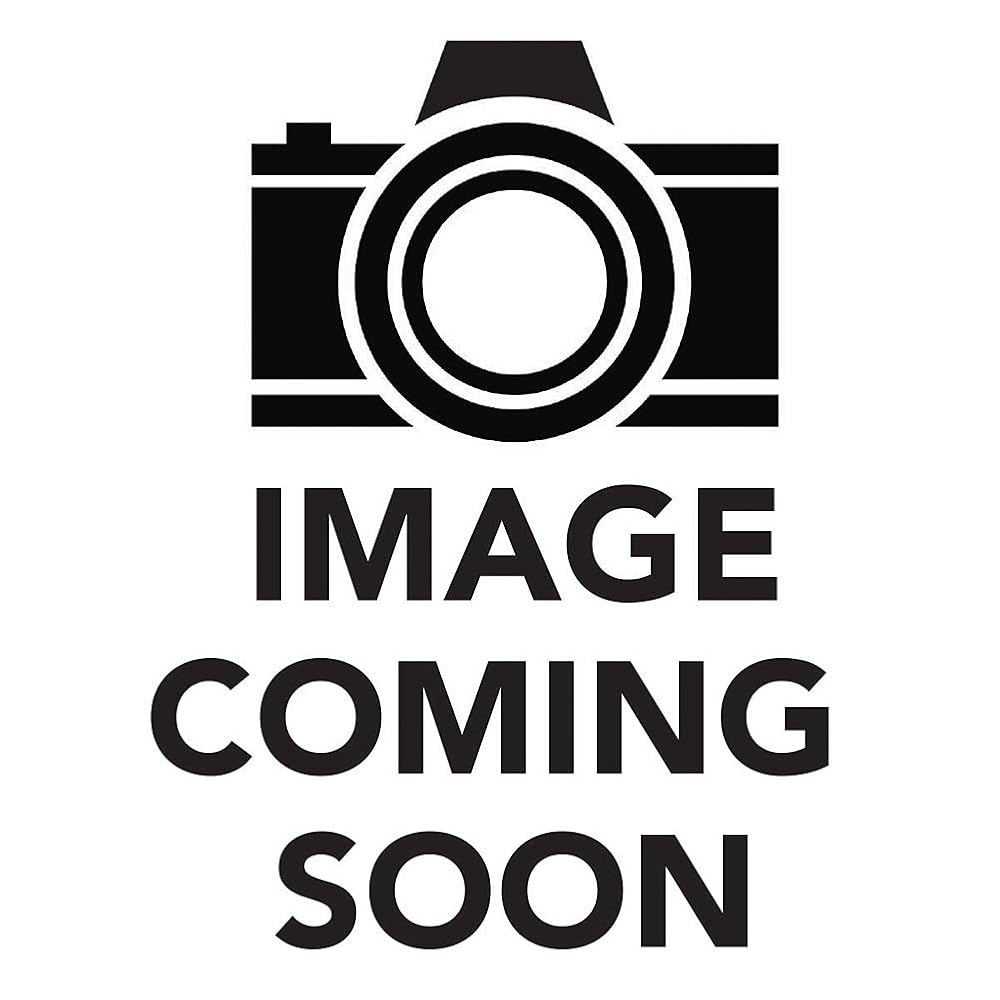 Lincoln, Life-Size
