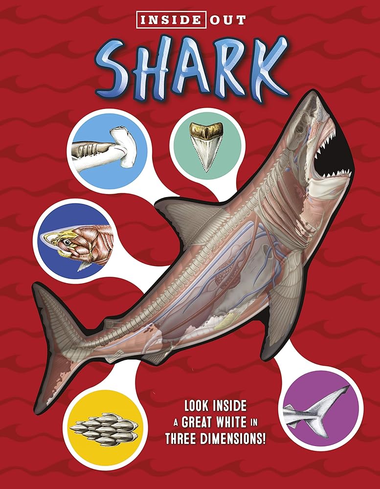 Inside Out Shark: Look inside a great white in three dimensions!
