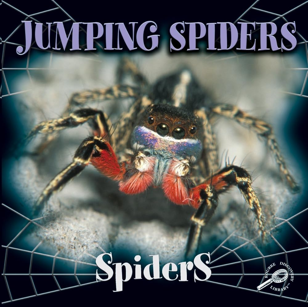 Jumping Spiders (Spiders Discovery Library)