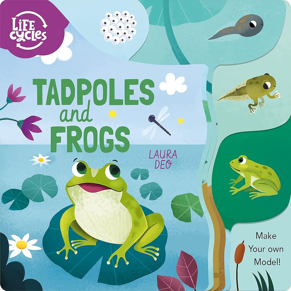 Life Cycles: Tadpoles and Frogs: Make Your Own Model! (Life Cycles, 2)