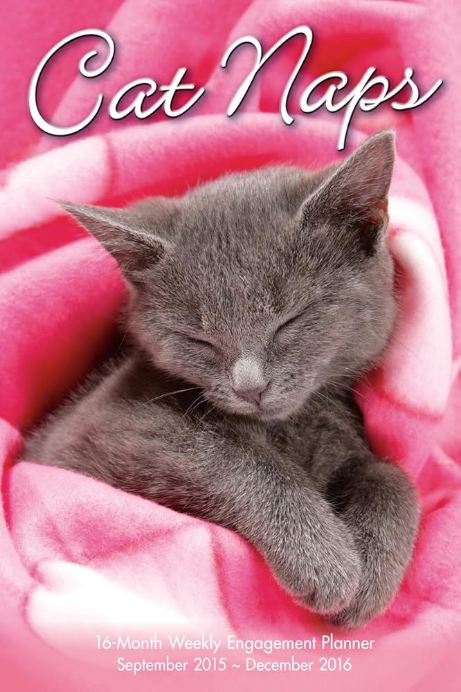 Cat Naps 2016 Engagement Calendar