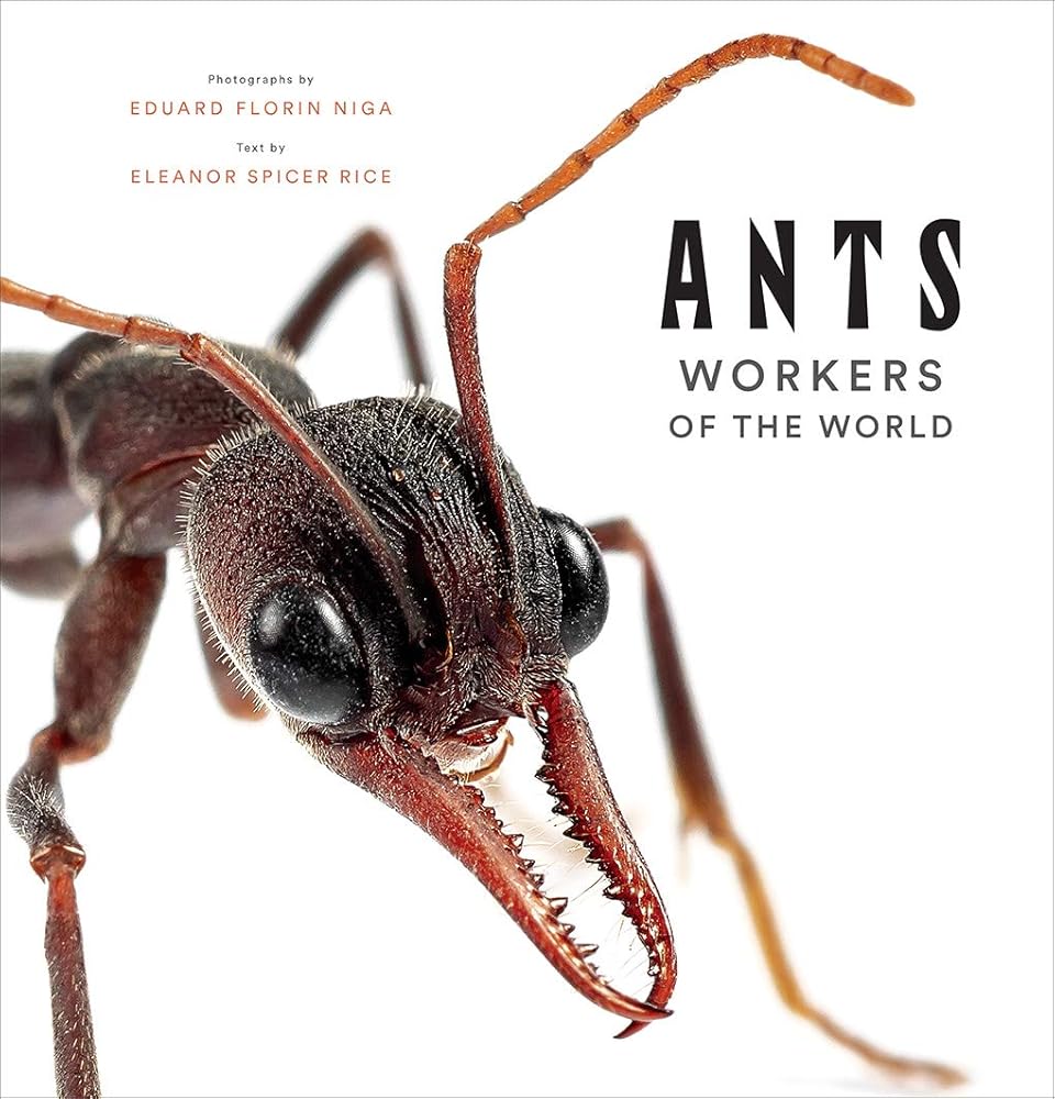 Ants: Workers of the World