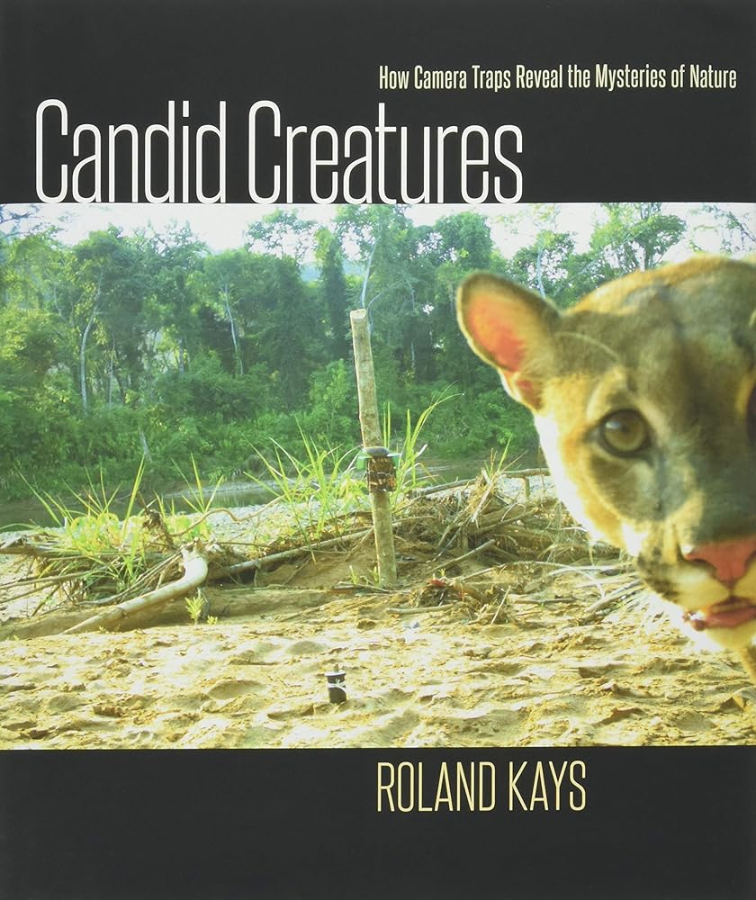 Candid Creatures: How Camera Traps Reveal the Mysteries of Nature
