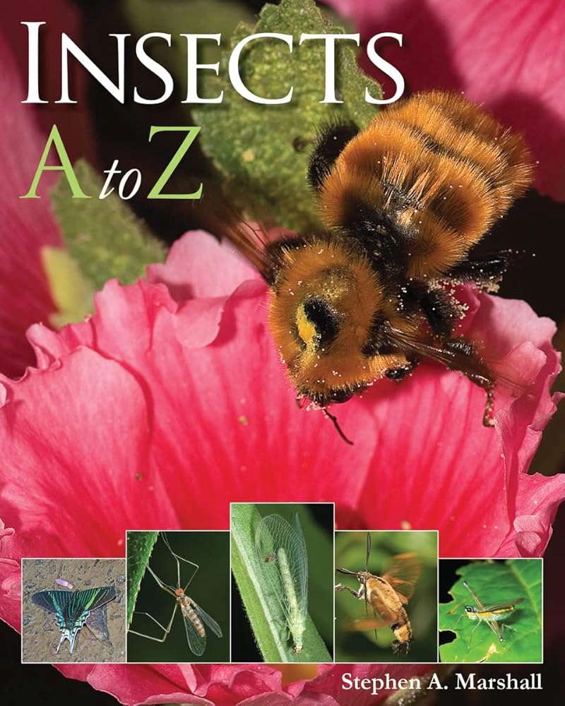Insects A to Z (A to Z (Firefly Books))