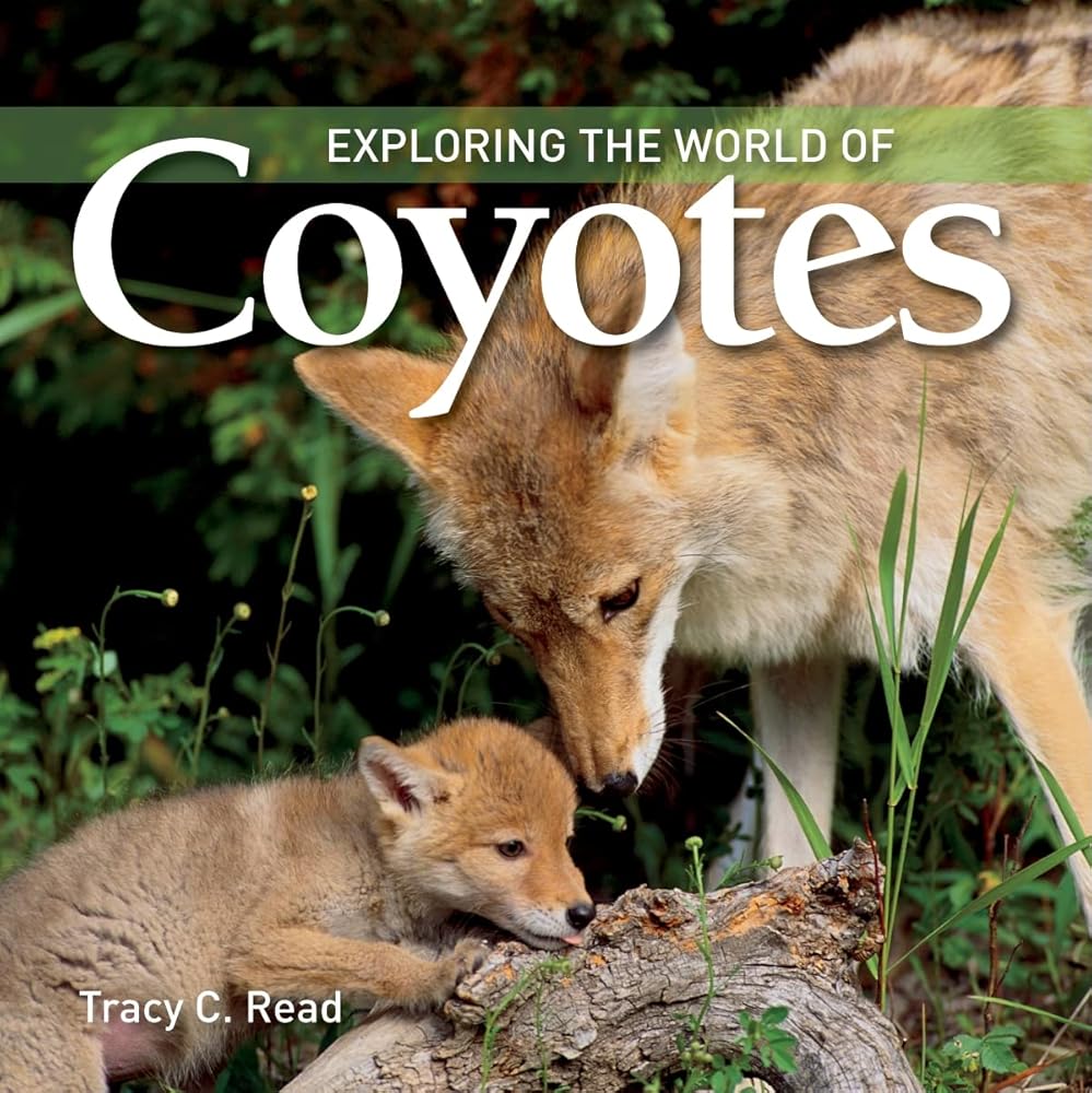 Exploring the World of Coyotes