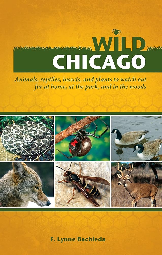 Wild Chicago: Animals, reptiles, insects, and plants to watch out for at home, at the park, and in the woods