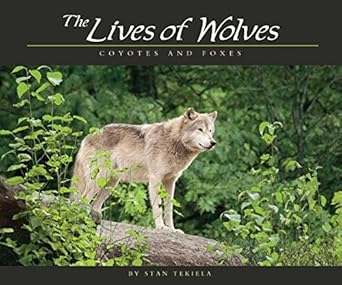 Lives of Wolves, Coyotes and Foxes (Wildlife Appreciation)