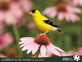 Goldfinch in the Garden (Wildlife Photography Puzzles)