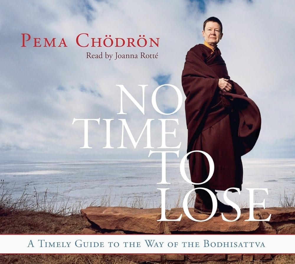 No Time to Lose: A Timely Guide to the Way of the Bodhisattva