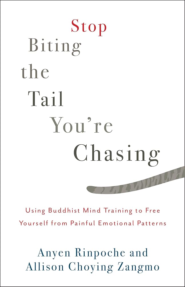 Stop Biting the Tail You're Chasing: Using Buddhist Mind Training to Free Yourself from Painful Emotional Patterns
