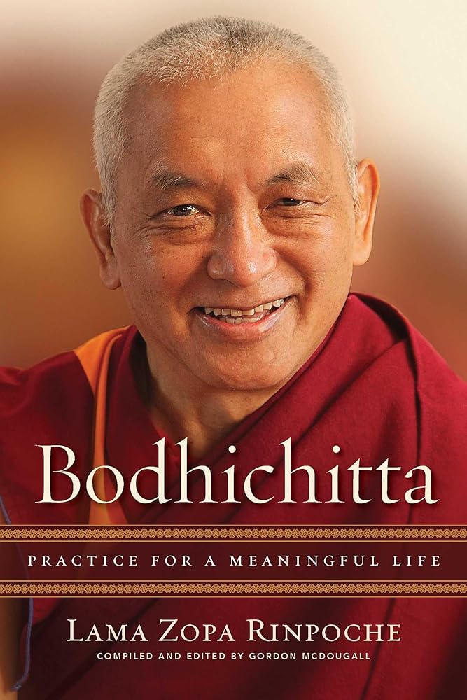 Bodhichitta: Practice for a Meaningful Life