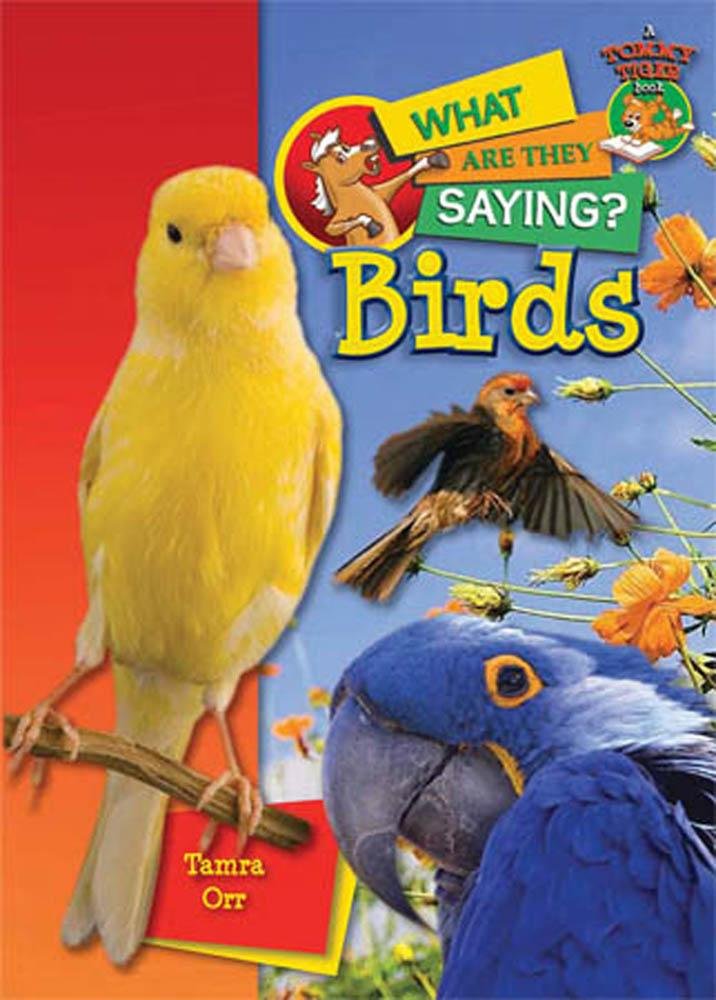 Birds (What Are They Saying?)