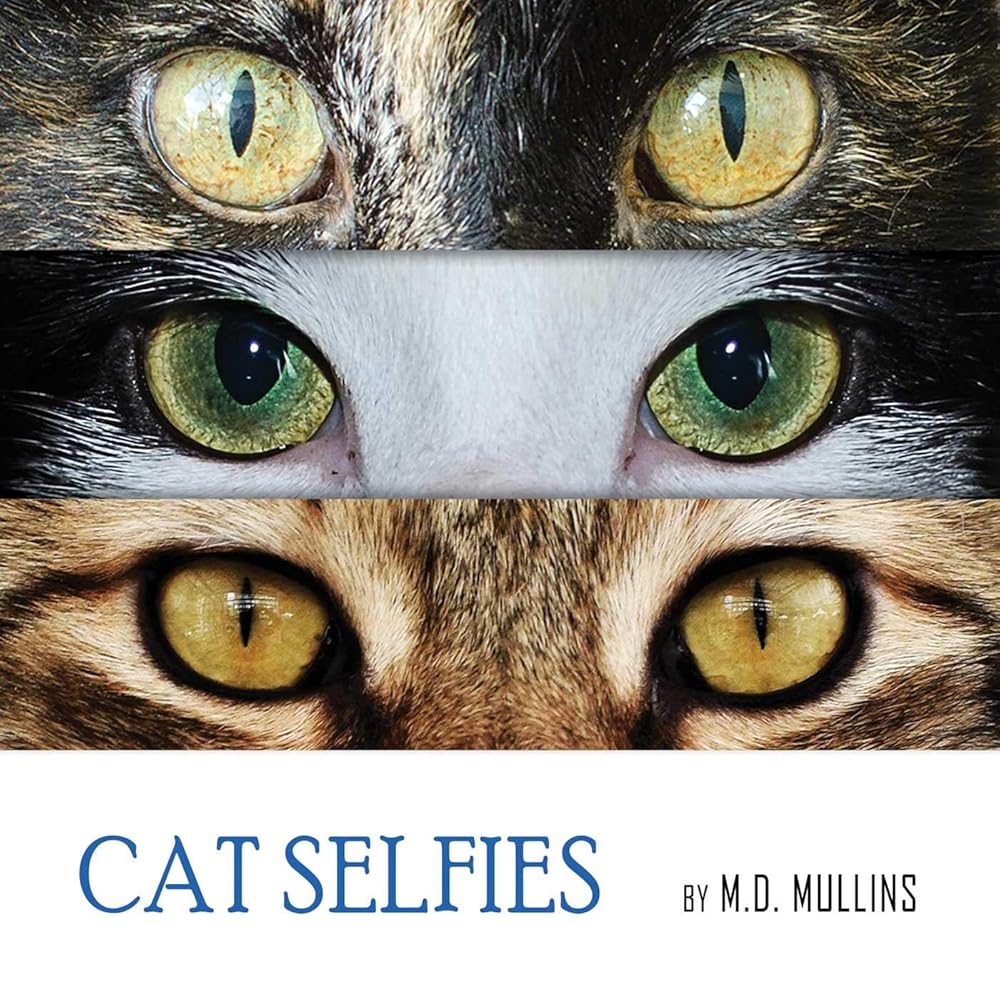 Cat Selfies