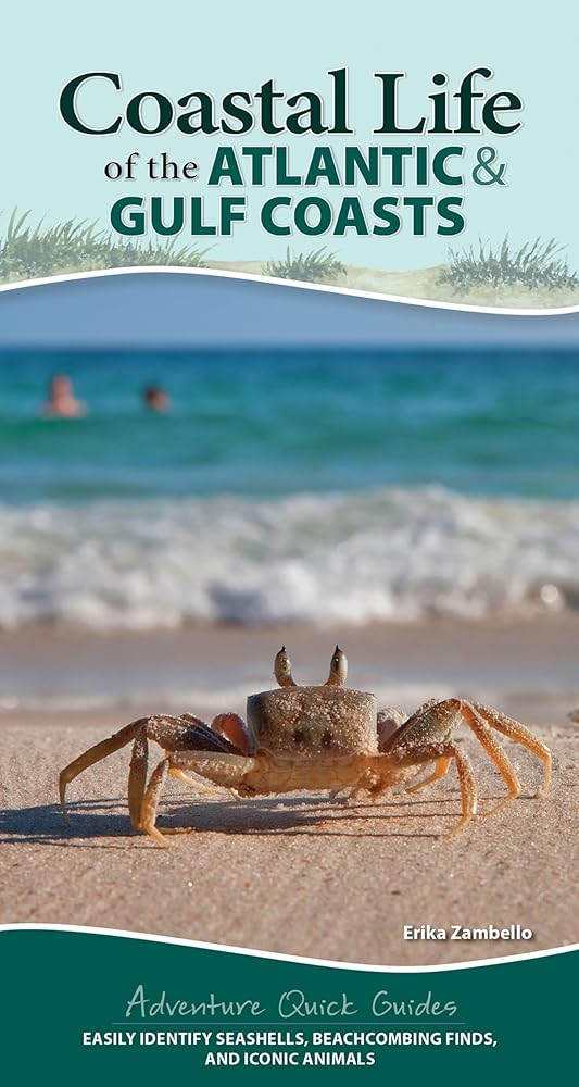 Coastal Life of the Atlantic and Gulf Coasts: Easily Identify Seashells, Beachcombing Finds, and Iconic Animals (Adventure Quick Guides)