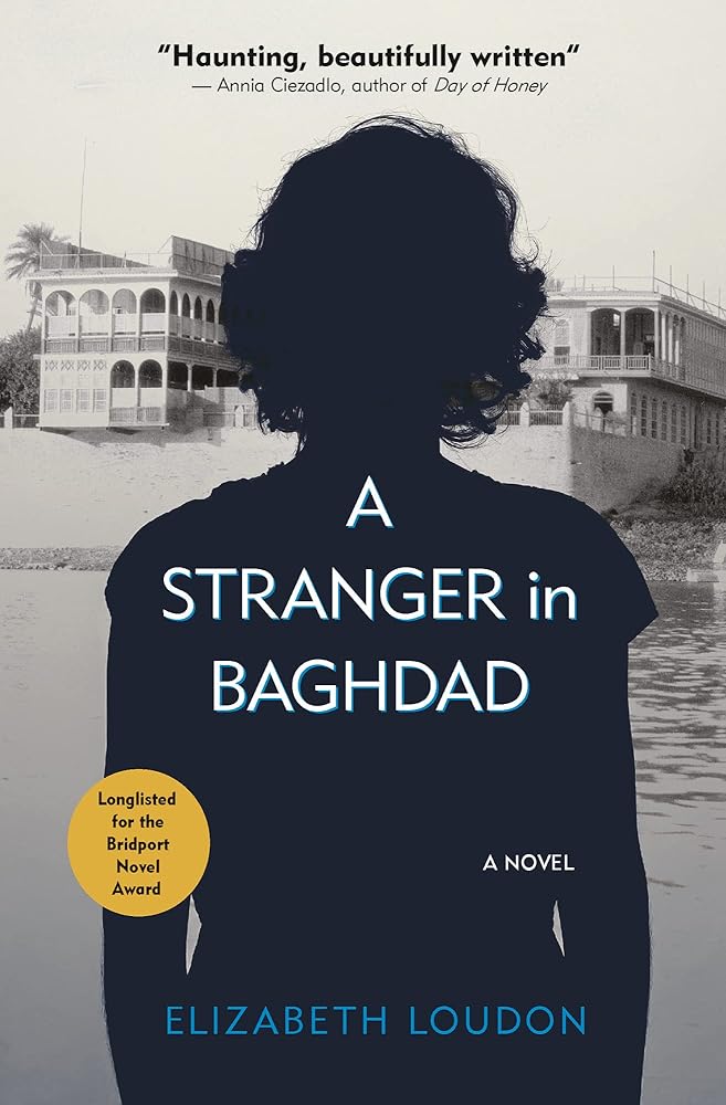 A Stranger in Baghdad: A Novel (Hoopoe Fiction)